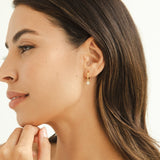 Clover Charm Zircon Hoop Earrings - Earrings