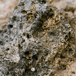 Isla Freshwater Pearl Necklace - Pearl Necklaces