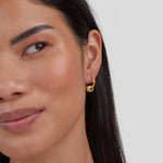 Radiant Crystal Gold Hoop Earrings - Earrings