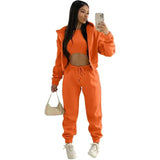Three - Piece Cropped Zip - Up Hoodie, Bralette & Joggers Set - Casual Comfort - Women's Outfit Set